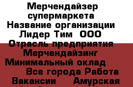 Мерчендайзер  супермаркета › Название организации ­ Лидер Тим, ООО › Отрасль предприятия ­ Мерчендайзинг › Минимальный оклад ­ 25 000 - Все города Работа » Вакансии   . Амурская обл.,Архаринский р-н